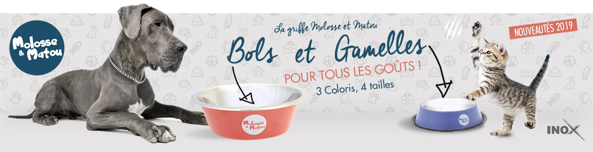 Gamelles et Bols - Molosse et Matou