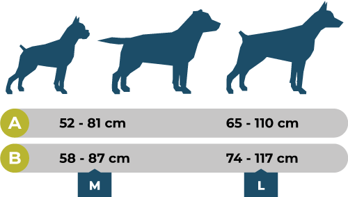 taillesharnaisM-L taillesharnaisM-L