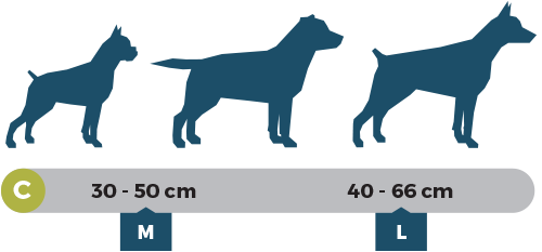 taillescollierM-L taillescollierM-L